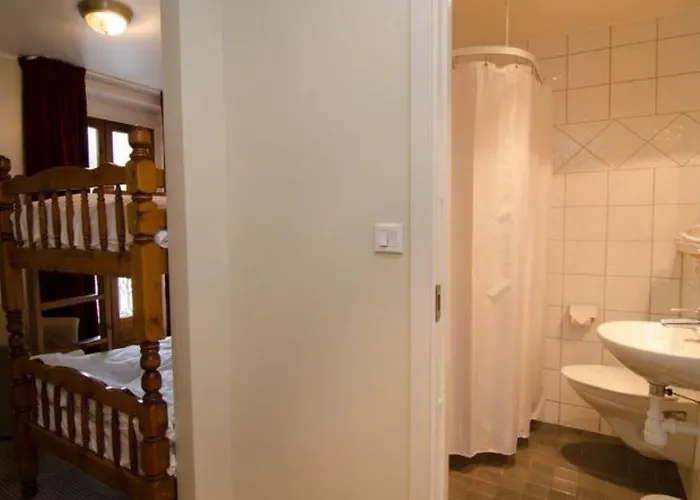 酒店 古斯塔维阿酒店 3*